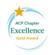 chapter excellence award