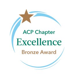 Chapter Excellence Award Bronze