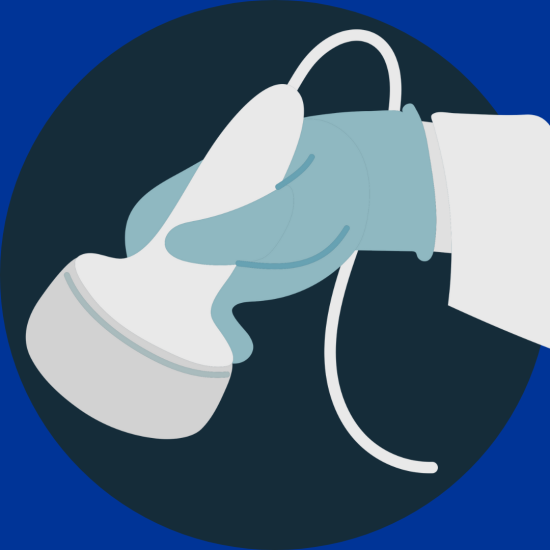 ACP POCUS 11: Lower Extremity MSK